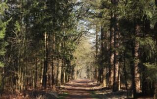 wandelen - herfst - keurdokter - gezond